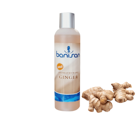 Banisan Bade- u. Whirlpoolzusatz Ginger